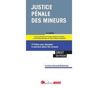 Justice Pénale Des Mineurs - 14 Fiches Pour Décrypter Le Parcours Pénal Des Mineurs