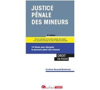 Justice pénale des mineurs: 14 fiches pour décrypter le parcours pénal des mineurs