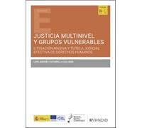 Justicia multinivel y grupos vulnerables