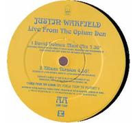 JUSTIN WARFIELD - Pick it up Y'all (Dust Brothers Vocal Mix, 1993/94) [Import]