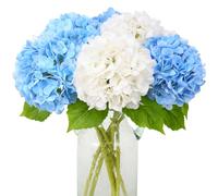 JUSTOYOU Lot de 4 fleurs d'hortensia artificielles - Double couleur - Tige unique - Réalistes - 40,6 cm - Toucher réel - Pour mariage, maison, fête (blanc et bleu)