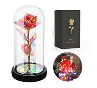 JUSTOYOU Rose artificielle colorée pour femme, mère, épouse, cadeau éternel dans un dôme en verre, rose arc-en-ciel pour anniversaire, Noël, fête des mères (rouge)