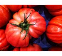 JustSeed - graines de tomate Super Marmande 20 graines Petit Jardin des paquets