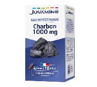 JUVAMINE Charbon Végétal 1000 Mg, Digestion, Ballonnements, Flatulences, Gaz, Aide à Réduire l'excès de Flatulences après un repas, Programme de 10 jours, 40 Gélules, Fabriqué en France