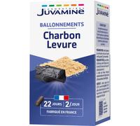 Juvamine Charbon Levure Gaz Intestinaux 45 Gélules