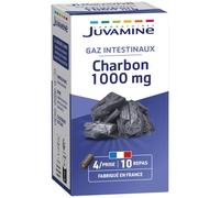 JUVAMINE Charbon Végétal 1000 Mg, Digestion, Ballonnements, Flatulences, Gaz, Aide à Réduire l'excès de Flatulences après un repas, Programme de 10 jours, 40 Gélules, Fabriqué en France