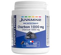JUVAMINE CHARBON 1000 mg Format 1 mois 120 gélules