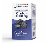 Juvamine Charbon végétal 1000 mg – Digestion et ballonnements – 40 gélules