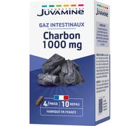 Juvamine Digestion Ballonnements Charbon 1000mg 40 Gélules