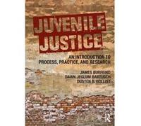 Juvenile Justice: An Introduction to Process, Practice, and Research - [Version Originale] Inconnu (Auteur)