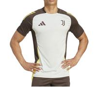 Maillot d'entraînement Juventus Turin Tiro 2024/25 Gris M Male