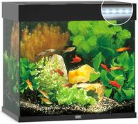 JUWEL Aquarium Lido 120 incl. éclairage LED, pompe, filtre et chauffage, noir