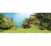 JUWEL Aquarium - Poster de paroi arrière 1, XL, 150 x 60 cm