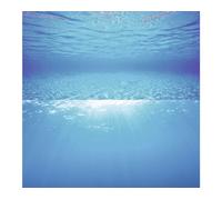 JUWEL Aquarium - Poster de paroi arrière 2, L, 100 x 50 cm