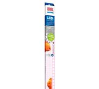 Juwel Aquarium Tube LED coloré