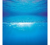 Juwel Aquarium Poster décoratif pour aquarium n°2 100×50 cm Taille L
