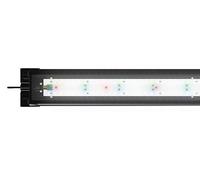 Juwel Rampe LED Helialux Spectrum 80cm - 32w pour Aquarium pour Aquariophilie Rampe Helialux Spectrum 48908