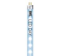Juwel Day LED Tube d'Éclairage pour Aquariophilie 9000 K 14 W 590 mm