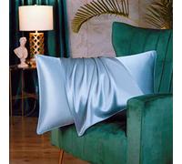 Juwenin Home Taie d'oreiller de Luxe 100% Pure Soie de mûrier Naturelle 19 Momme, Douce et Respirante, Effet Anti-Rides, Fermeture éclair Invisible (Bleu Clair, 50 x 75 cm)