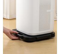 JUXDZISHW Noir,Plateau Roulant, 31.5 * 31.5 * 3cm - Chariot à roulettes, Déplace Meuble, Support Plante - Chariot de Transport, Planche a Roulette, Robuste et Durable