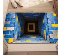 JUXDZISHW Q, 80 x 120 cm, paillasson d'entrée intérieur et extérieur, paillasson à illusion d'optique 3D, tapis d'illusion d'optique résistant aux intempéries, tapis d'illusion de fissures au sol