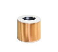 JVEIWAD Sacs À Poussière Hepa Compatibles Avec Les Aspirateurs WD2.250, WD2250, A2004, A2054, MV2, WD2, Pièces Détachées, Accessoires De Remplacement(Light Grey)