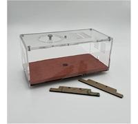 JvFbjLF Ant Eco Box - Kit d’éducation Scientifique for Enfants(Activity Area (Large))