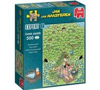 JVH EXPERT 2 ENJOYING A PICNIC 500 PIECES) G