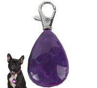 Jvjggag Collier Lumineux LED pour Animal,Haute luminosité sécurité | Collier Fantaisie pour Animal - pour Les Sorties Nocturnes, Jardin, soirée, Running, vélo, Camping