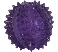 JW - Bristly Cactus Ball - Jouet Dentaire pour Soulager Les Chiots - Balle à Mâcher pour Chiot - Caoutchouc Texturé Souple et Robuste - Masse Les Gencives - Taille Unique