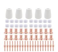 JWFBDB Kit de 65 électrodes et coupelles étendues for découpeur plasma PT31 LG40, compatible for les PT-31, CUT40, HYC45D, HYC50D, CUT50, PLC50D et HYC410.