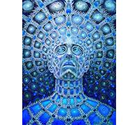 JWJQTLD Impression sur Toile Trippy Alex Grey Abstrait Mur Art Toile Peinture Affiches Et Imprimer Photos Salon Décoration Décor À La Maison ， Cadeau De Noël Cadeau De Vacances, 30X40Cm sans Cadre