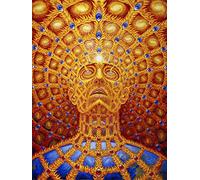JWJQTLD Impression sur Toile Trippy Alex Grey Abstrait Mur Art Toile Peinture Affiches Et Imprimer Photos Salon Décoration Décor À La Maison ， Cadeau De Noël Cadeau De Vacances, 70X100Cm sans Cadre