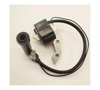 JWLPJSD Bobine d'allumage adaptée for GM182 GT600 GT400