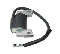 JWLPJSD Induit de Bobine d'allumage 590455, Compatible avec Les Moteurs 590455, 793353, 799382, 793354, 792631 et 792640