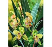 JWPSHIJIE 5D DIY Diamond Art Painting Kit Complet, fleurs Strass Canevas Point De Croix Broderie Diamant Peinture par Numéros pour Adultes Décoration Murale Maison