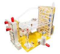 JWQFBC Kit D'observation de L'habitat de La Ferme à Fourmis à Faire Soi-même, Kit d'apprentissage Scientifique, Maison D'observation des Four