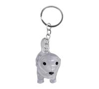 JWQFBC Porte-clés Collecteur de Poils Boîte de Rangement Pendentif Souvenir Ornement de Chiot en Acrylique Portable Adapté pour Décorer Un Sac à Dos et Les, Style F