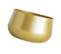 JWQFBC Pot de Fleurs en Métal Doré, Jardinière Décorative, Pot pour Plantes Succulentes avec Trou de Drainage pour Salon, Chambre, Bureau, Un