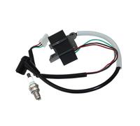 JWRMZX Bobine de Module d'allumage adaptée Compatible avec 545 Mark II, 545G Mark II, 550XP Mark II, 550XPG Mark II, 582777301, 582777303, 582777304.