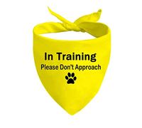JXGZSO 1 bandana Dot Not Approach/Please Approach Slowly Nerveux pour chien timide Cadeau pour chien (Ne pas approcher D)