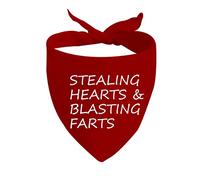 JXGZSO 1 bandana pour chien avec inscription « Free Kisses/Will You Be My Valentine/Stealing Hearts » (cœurs et pattes explosives)