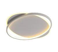 JXYDJH Abat-jour Annulaire En Acrylique Pour Salle À Manger, Plafonnier Noir 50 Cm, Luminaire Plafond Style Ferme, Moderne, À Intensité Variable, En Fer Blanc, Idéal Pour Un Couloir