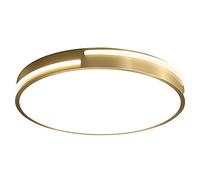 JXYDJH Plafonnier De Luxe Doré Avec Éclairage Latéral, Épaisseur 4,8 Cm (1,9 Po), Boîtier En Cuivre, 45 W, IRC 90+, Température De Couleur 3000-6000 K, Idéal Pour Chambre, Cuisine, Entrée