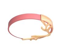 JXYDJH Plafonnier Rond Macaron En Bois Massif, Éclairage D'accentuation LED Circulaire Pour Chambre D'enfant, Luminaire LED Blanc Chaud De Style Nordique, Proche Du Noir