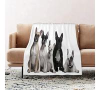 JYLYZZIN Couvertures et Plaids 100 x 130 cm Couverture en Flanelle, Couverture Chaude de Canapé, Jete de lit, Bouledogue, Groupe de Jeunes bouledogues français avec Une Expression Adorable