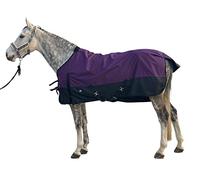 Jyuiipcz Couverture de pluie pour cheval - Imperméable 1200D - Chaude - Pour l'hiver - Col standard - Bleu ciel 74 - Violet foncé 76