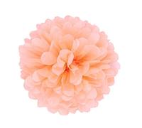 JZK 10pcs x 25 cm Corail Pompons Papier feston Décorations pour Mariage Anniversaire Baptême Communion Naissance Graduation Noël Halloween, Pom Pom pon pon pompom fête de jardin décorative