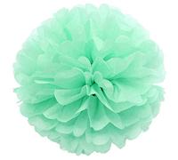 JZK 10pcs x 25 cm Vert céladon Pompons Papier feston Décorations pour Mariage Anniversaire Baptême Communion Naissance Graduation Noël Halloween, Pom Pom pon pon pompom fête de jardin décorative