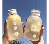 JZSMY Bouteille d'eau de jus de lait de 480 ml avec échelle, 2 couvercles, petite marguerite mate, portable, transparente, bouteille en verre créative et pratique (1 pièce, six fleurs)